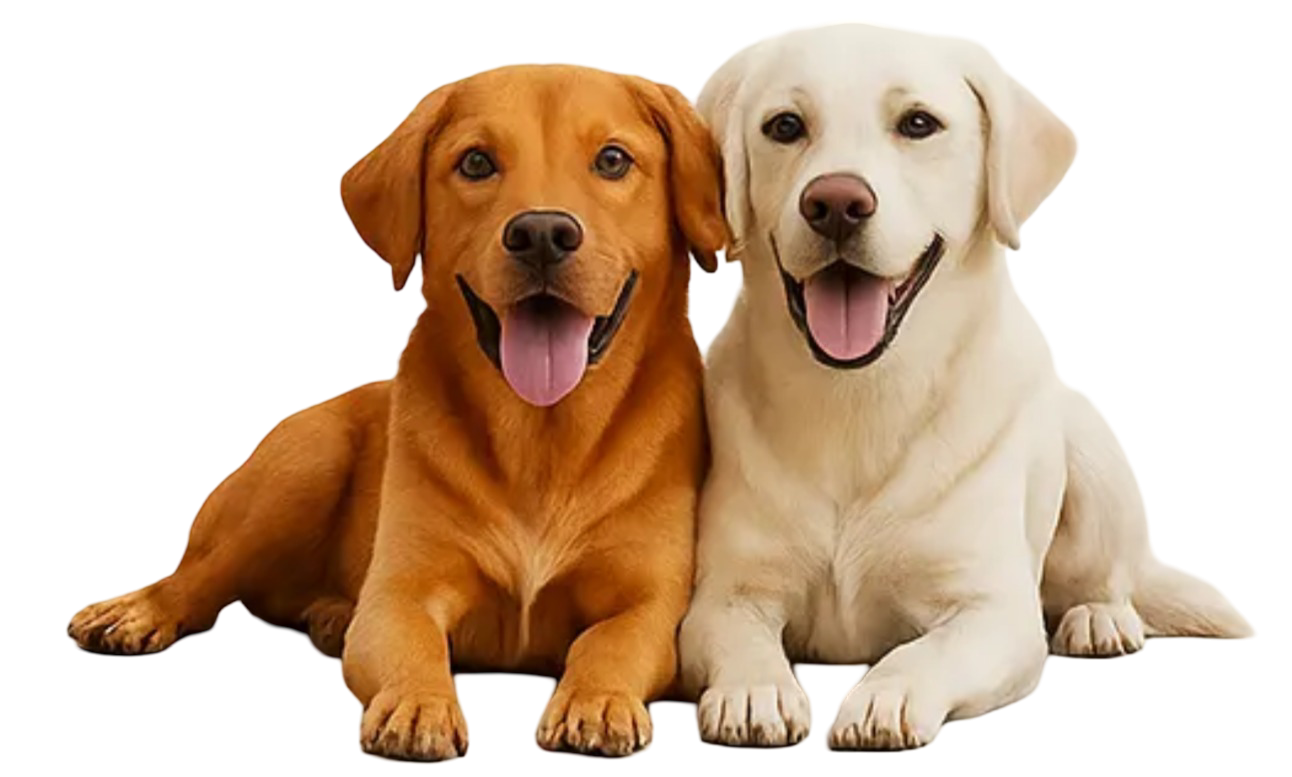 Screenshot 2025 12 30 184532 1