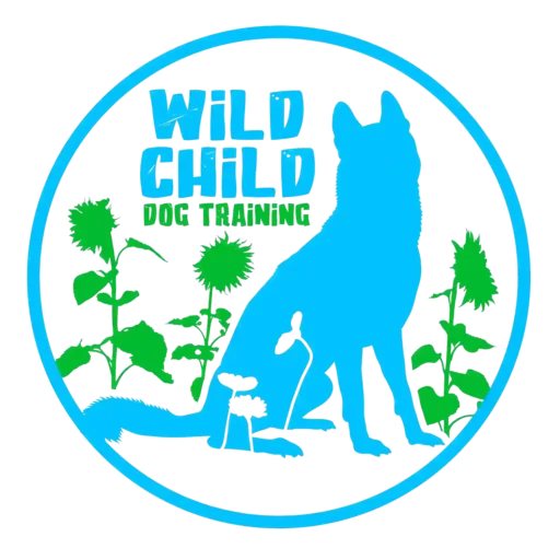 Dog Traning logo