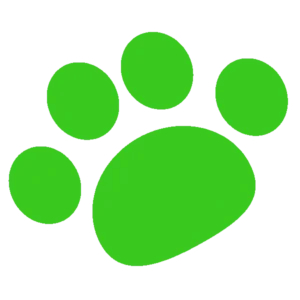 cute dog and footprint seamless pattern GE973RTq