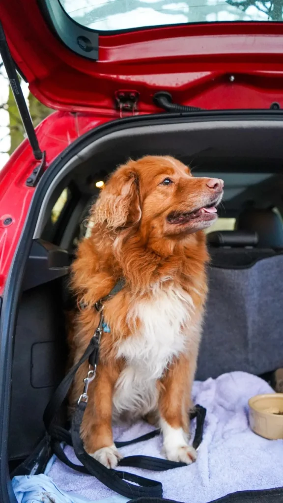 Car Etiquette