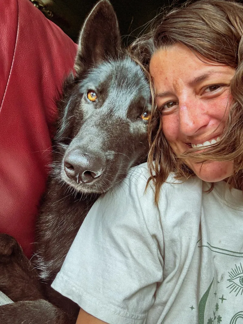 Finding Peace Amidst the Chaos: Reflections on Dogs and Human Emotions