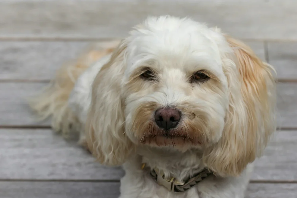 Local Resources to Help Those in Need