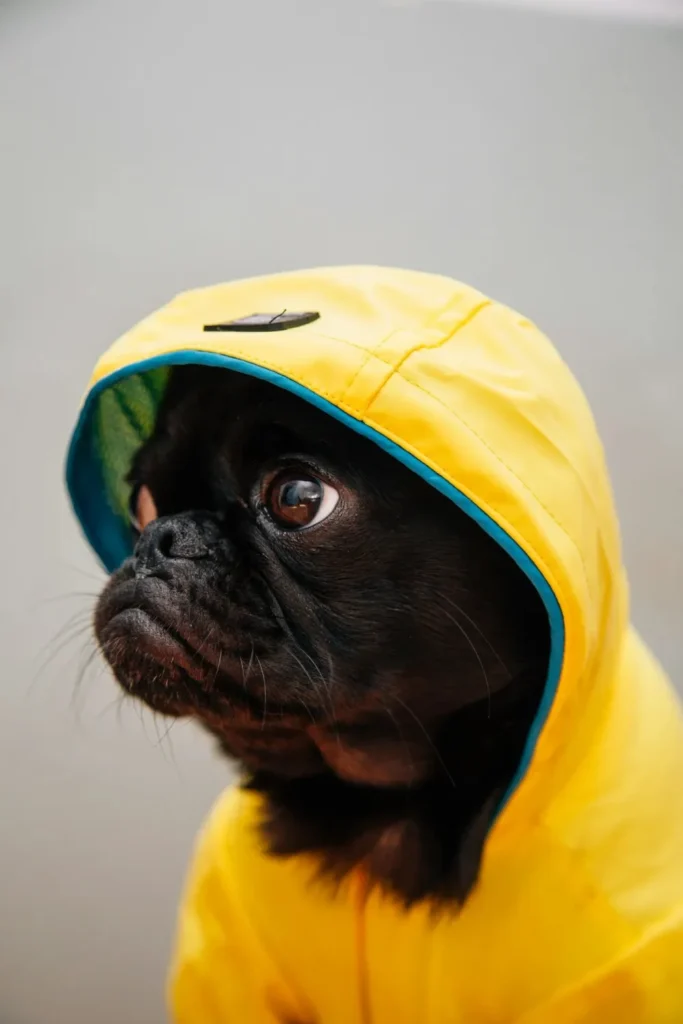 Storm Prep