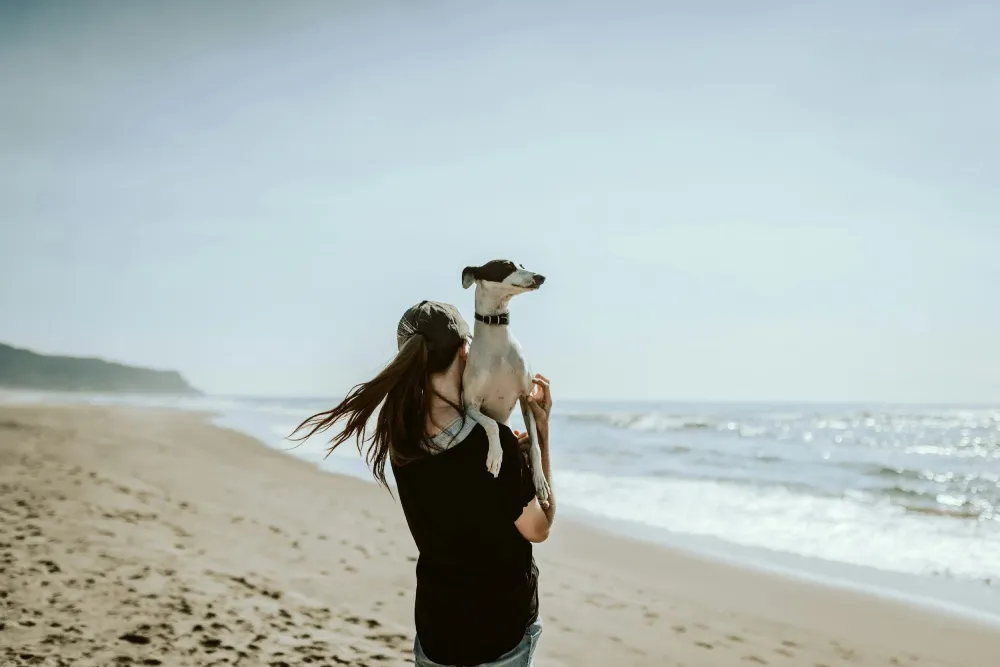 The Profound Emotional Connection Between Humans and Dogs