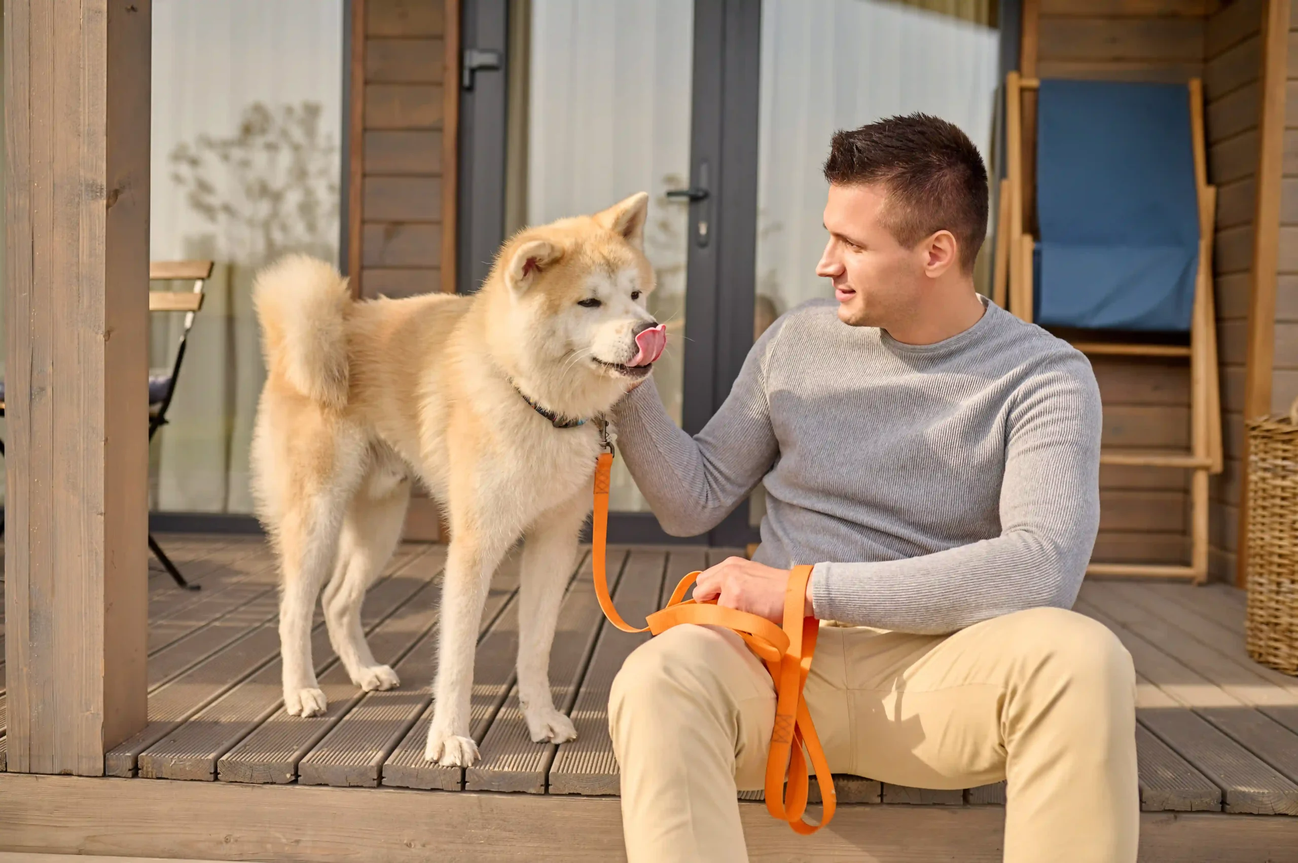 Five-Star Dog Boarding in Onslow County, NC
