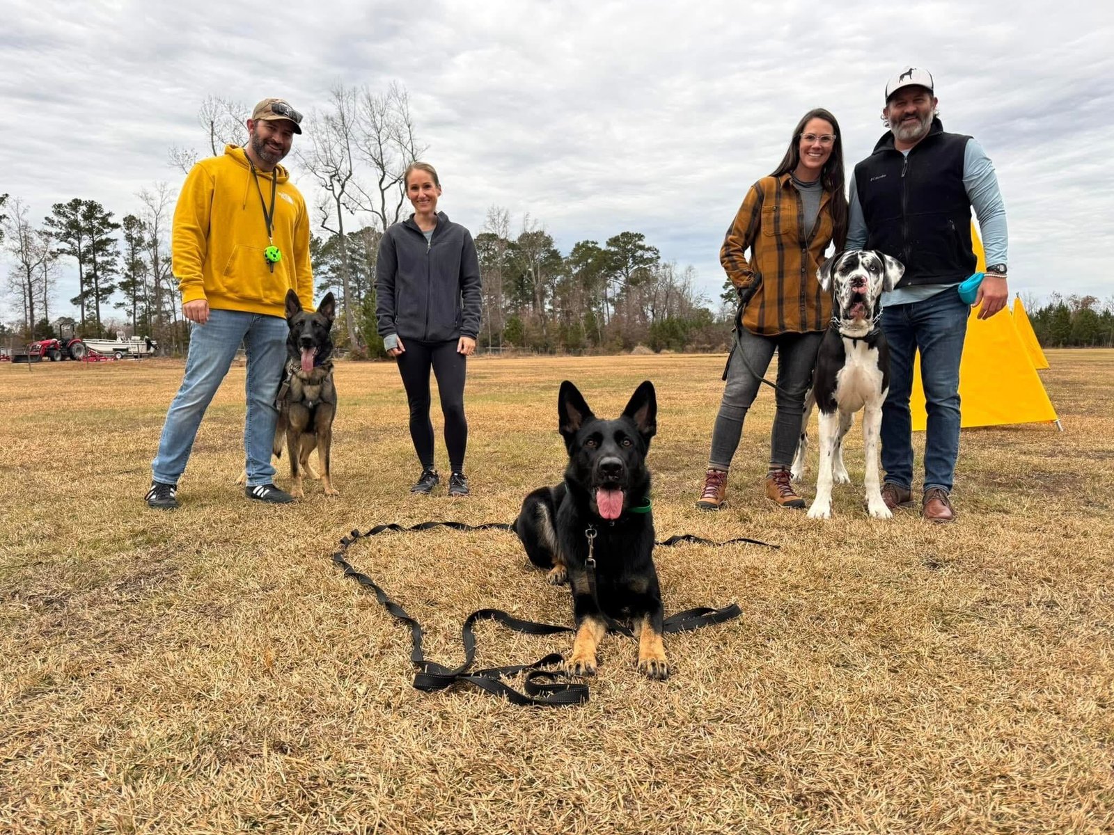 calm and happy dog sitting on the grass. Dog training in Pender County