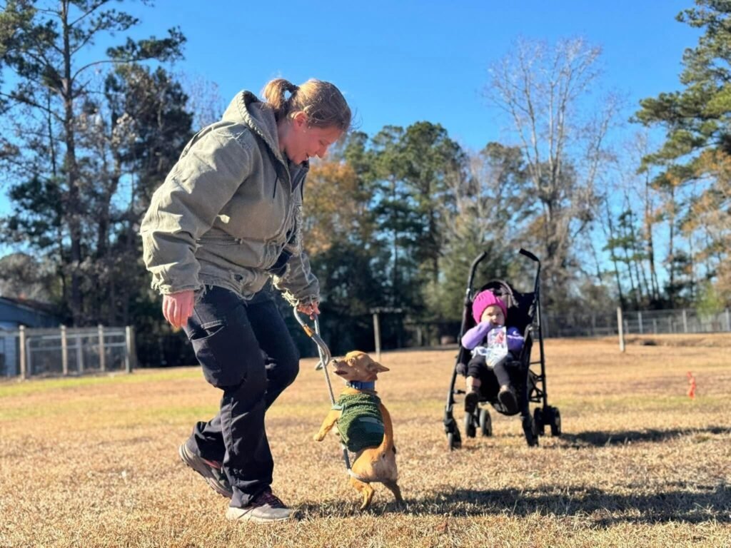small dog having a good time with his human family
