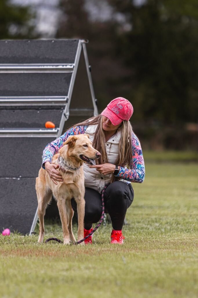 dog trainer teaching behavioral lessons