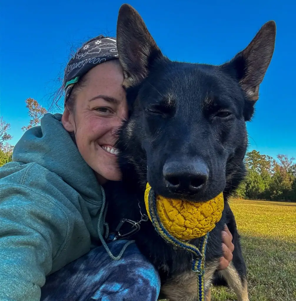 dog being trained by professionals