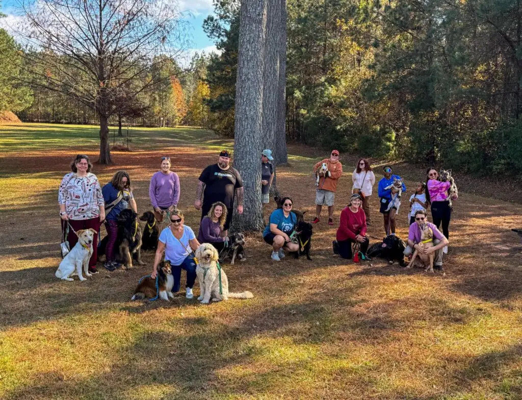 dog training professional coaches from WC Dog Training