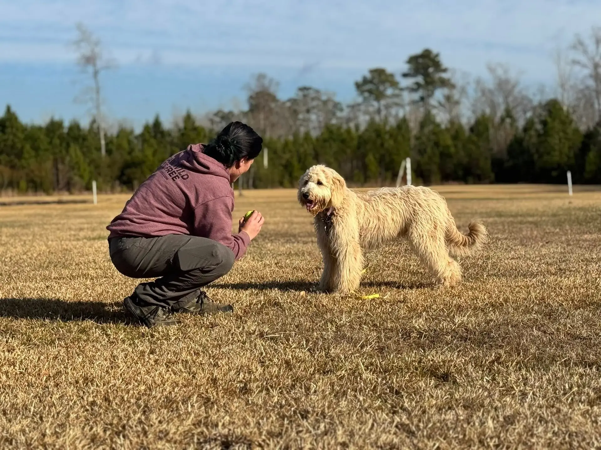 reward-based methods of training