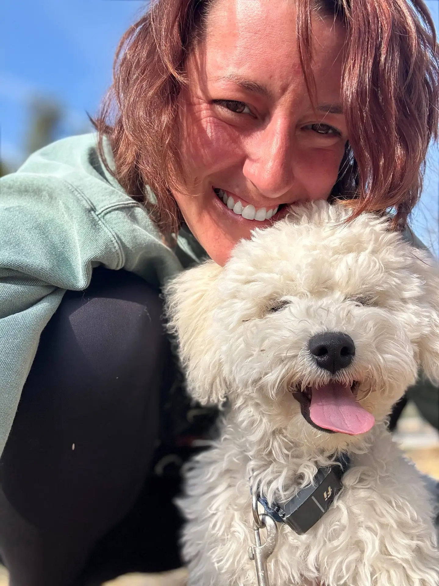 professional dog training guidance