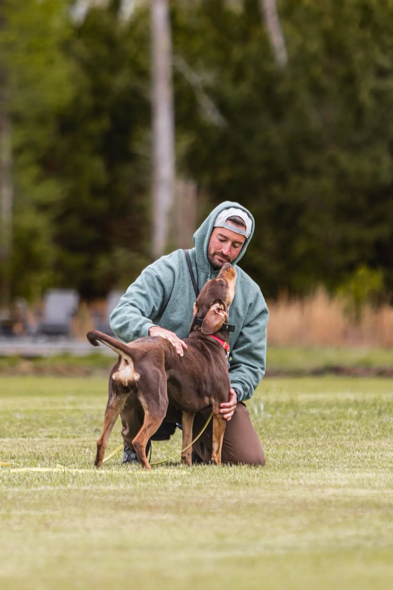 dog training full support
