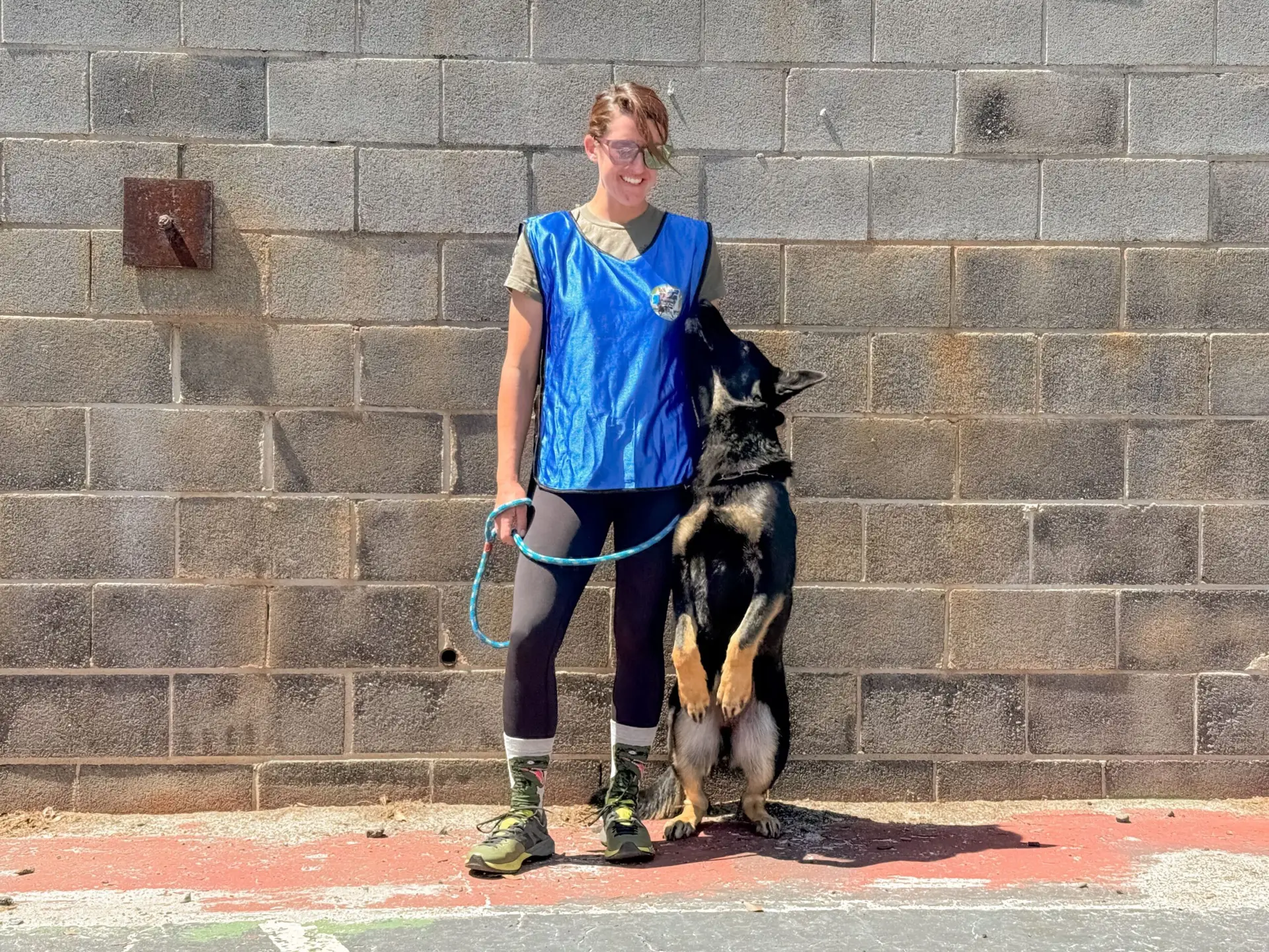 Understanding the Root of Dog Behavior in Training – Behavior Modification Dog Training
