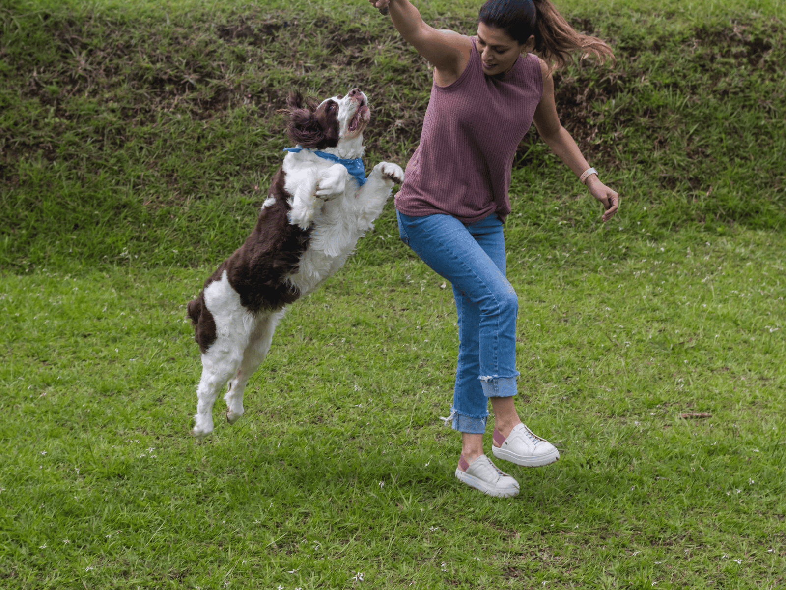 How to Train Your Dog Not to Jump Up on People