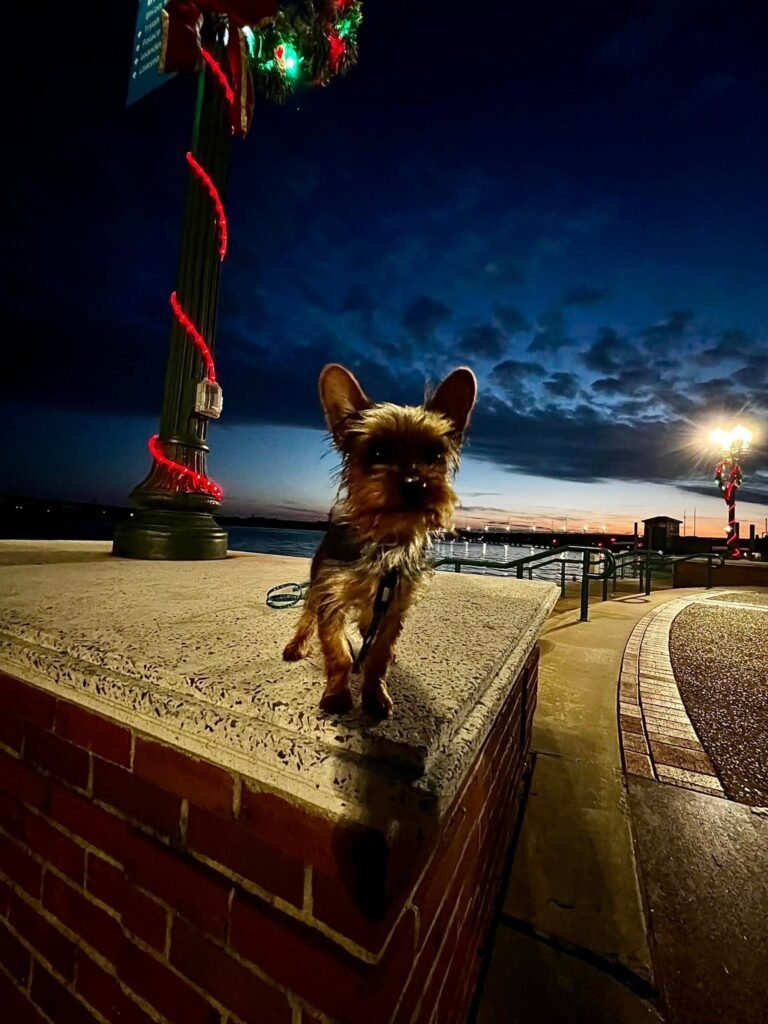 odin in new bern