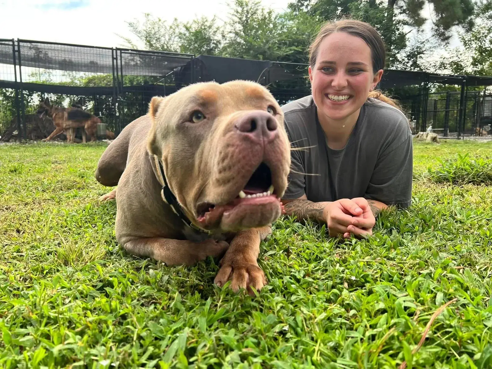 What Is Triggering Your Dog's Behavior?