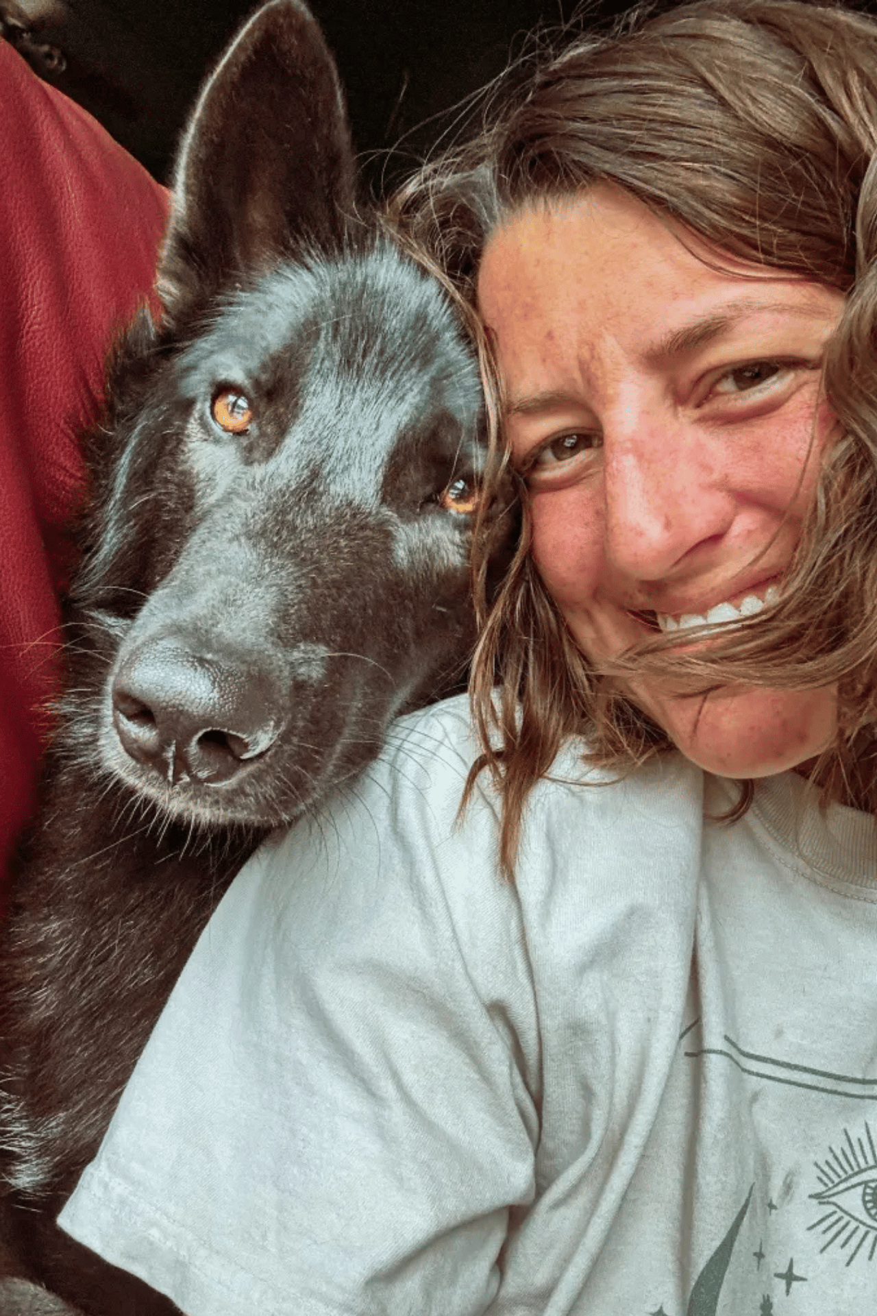 Dog training in New Bern